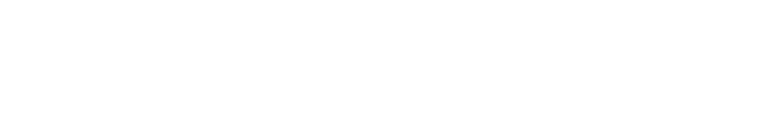 ZSX